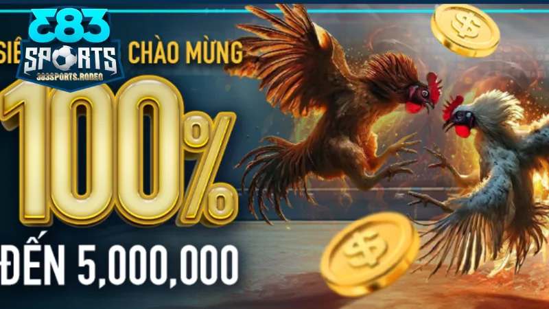 Khuyến mãi 383sports – Hàng Ngàn Ưu Đãi Hấp Dẫn Hoàn trả thể thao hấp dẫn lên tới 1.3%